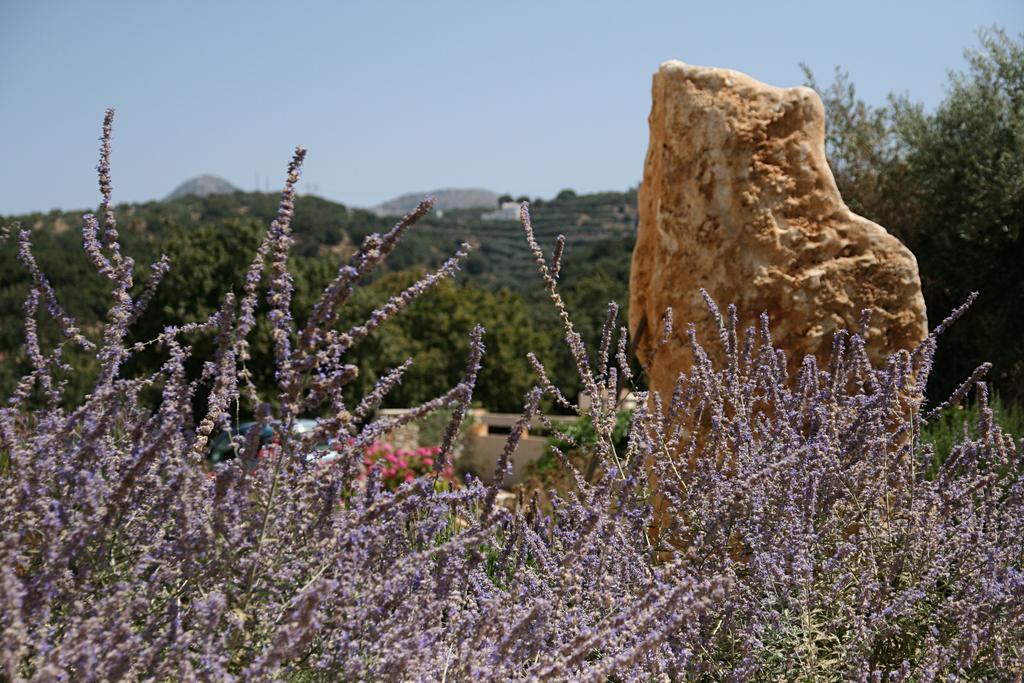 Deluxe Villa Ianthos - Outdoor Hot Tub & Kids Pool Γάλλος Εξωτερικό φωτογραφία